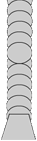 right leg